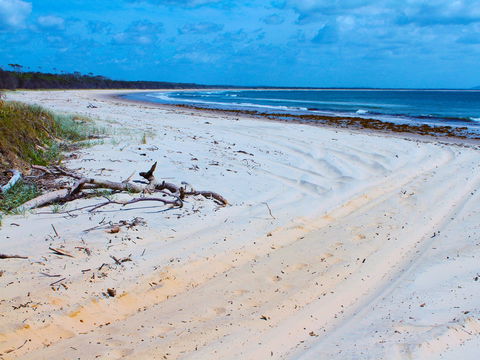 Shark Bay - Tourism Canberra 1