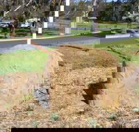 Stratford Historical Society and Museum - Tourism Canberra