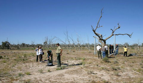 Sturt's Tree Walk - Tourism Canberra 0
