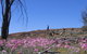 Talgomine Reserve - thumb 0