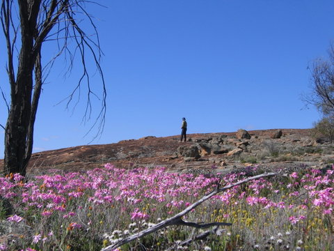 Talgomine Reserve - Tourism Canberra 0