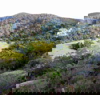 The Bellbird - Tourism Canberra