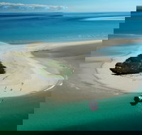 Turtle Discovery - Tourism Canberra