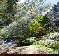 Wadbilliga Road drive - Tourism Canberra