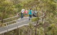 Walpole Wilderness Discovery Centre - thumb 0