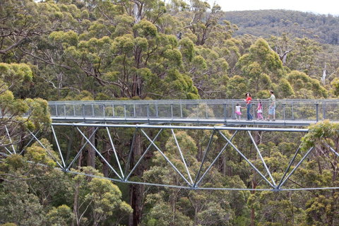 Walpole Wilderness Discovery Centre - Tourism Canberra 1