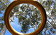 Walpole Wilderness Discovery Centre - thumb 2
