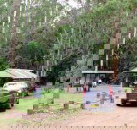 Wallingat Forest Drive - Tourism Canberra