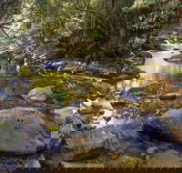 Washpool Walking Track - Tourism Canberra