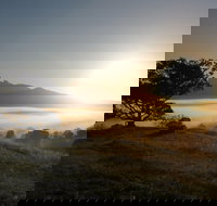 Wollumbin-Mount Warning National Park - Tourism Canberra