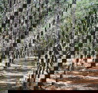 Yana-y Warruwi Walking Track - Tourism Canberra