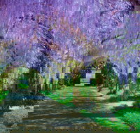 Alowyn Gardens and Nursery - Tourism Canberra