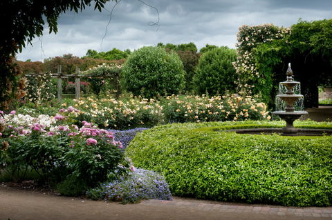 Alowyn Gardens And Nursery - Tourism Canberra 1