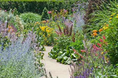 Alowyn Gardens And Nursery - Tourism Canberra 2