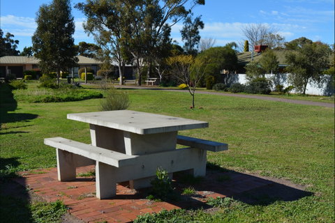 Apex Park & Picnic Area - Tourism Canberra 1