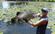 Barra Feeding - thumb 2