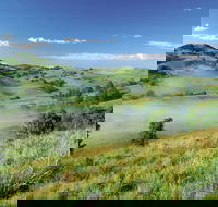 Bega - Tourism Canberra