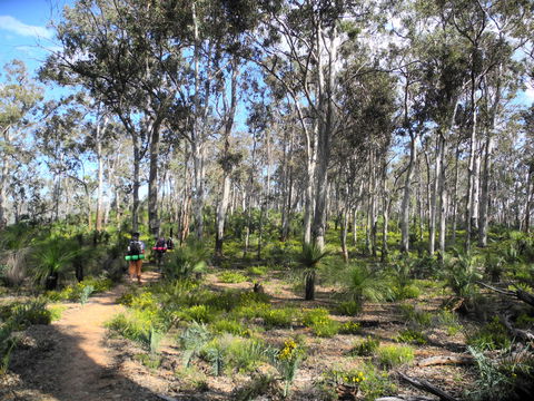 Bibbulmun Track - Tourism Canberra 1