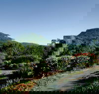 Botanic Garden Wollongong - Tourism Canberra