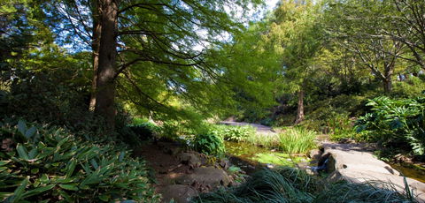 Botanic Garden, Wollongong - Tourism Canberra 2
