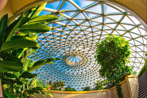 Brisbane Botanic Gardens Mount Coot-tha - Tourism Canberra 0