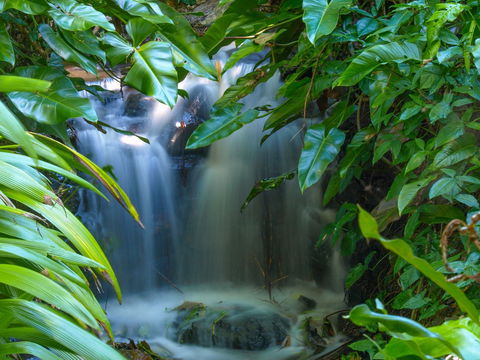 Brisbane Botanic Gardens Mount Coot-tha - Tourism Canberra 1