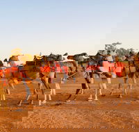 Broken Hill Camels - Tourism Canberra