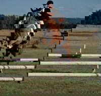 Camden Bicentennial Equestrian Park - Tourism Canberra