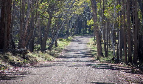 Coolah Tops National Park - Tourism Canberra 0