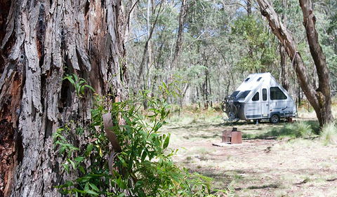 Coolah Tops National Park - Tourism Canberra 2