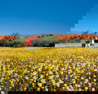 Coorow Farm Wildflower Trail - Tourism Canberra