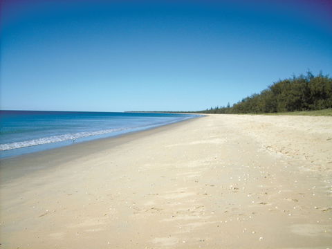 Coral Coast Pathways (Woodgate Beach Section) - Tourism Canberra 0