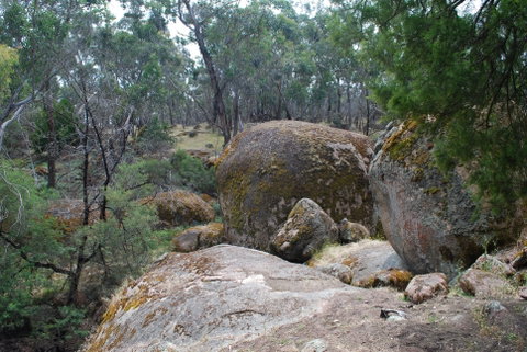 Dergholm State Park - Tourism Canberra 0