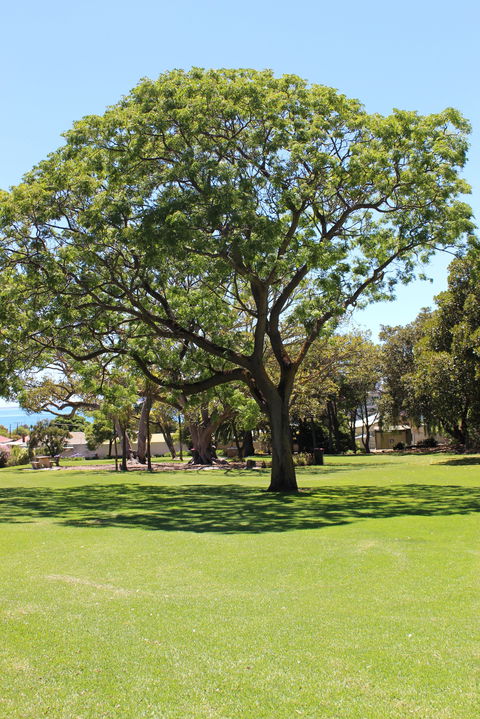 Flinders Park Playground - Tourism Canberra 0