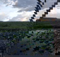 Fogg Dam Conservation Reserve - Tourism Canberra