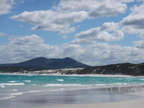 Hakea Walk Trail, East Fitzgerald National Park - Tourism Canberra 0