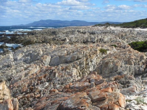 Hakea Walk Trail, East Fitzgerald National Park - Tourism Canberra 1