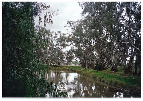 Henty Government Dam Nature Reserve - Tourism Canberra 0