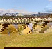 Historic Tabulam DeBurgh Timber Bridge - Tourism Canberra