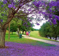 Howe Park - Tourism Canberra