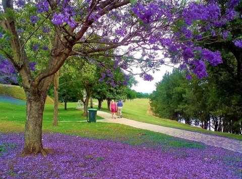 Howe Park - Tourism Canberra 0