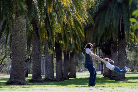 Jellicoe Park - Tourism Canberra 0