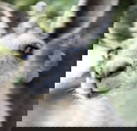 John Egan Pioneer Track - Tourism Canberra