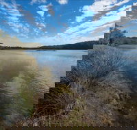 Lake Innes Nature Reserve - Tourism Canberra
