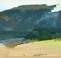 Langi Ghiran State Park - Tourism Canberra