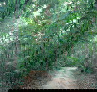 Lawn Hill - Tourism Canberra