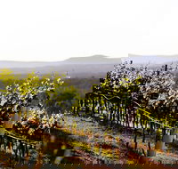 Mount View - Tourism Canberra