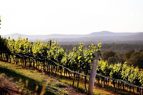 Mount View - Tourism Canberra 0
