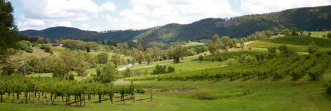 Mount View - Tourism Canberra 1