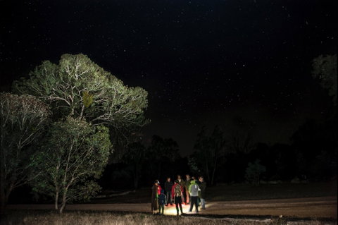 Mulligans Flat Woodland Sanctuary - Tourism Canberra 1